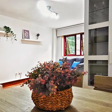 Piso Centrico Con Amplia Terraza *